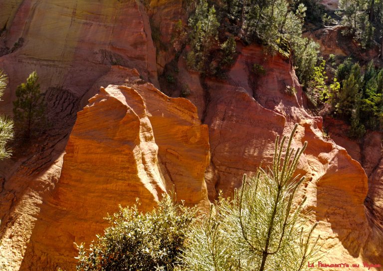 Sur le Sentier des Ocres 11