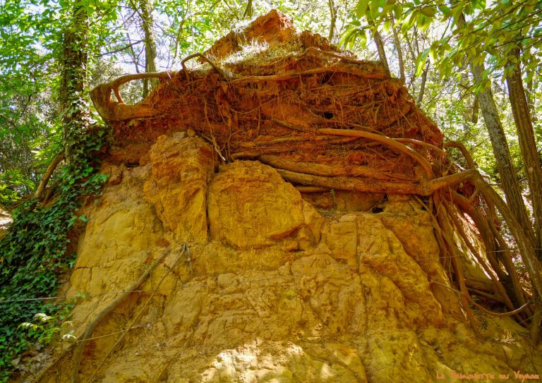 Sur le Sentier des Ocres 14