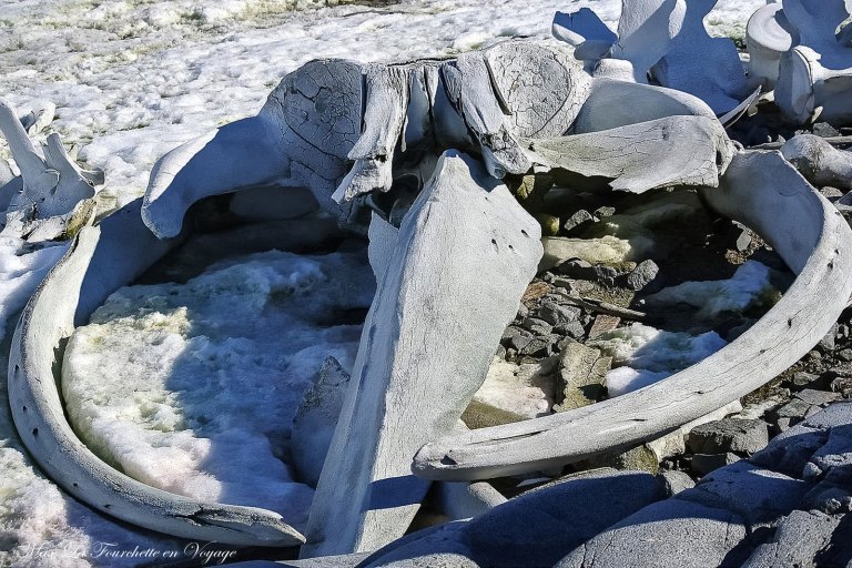 Antarctique HDR2w.jpg