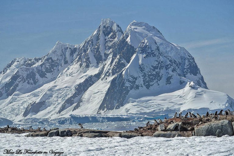 Antarctique HDR44w